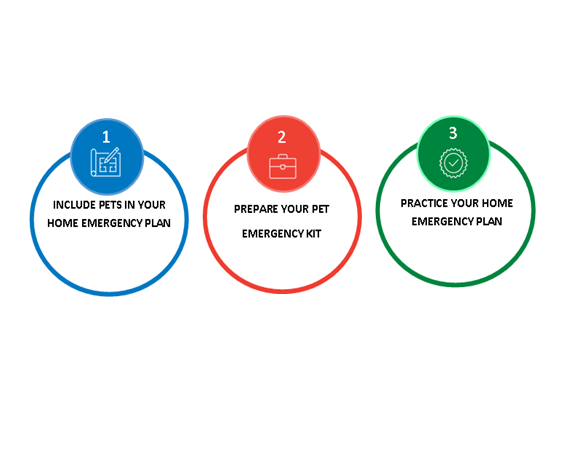 CSWResilience's tweet photo. NATIONAL PET MONTH! 

Emergency planning for pets is an important part of emergency household preparations and greatly increases the likelihood of evacuating your pets to safety if that is necessary.
Three steps to your pet emergency plan

https://t.co/OILXUm7T1i https://t.co/w1HQ6T5Ob7
