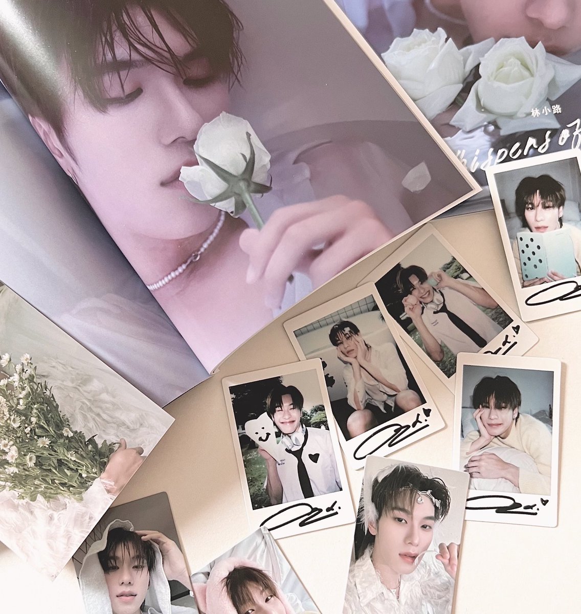 ༉‧₊ 𝓀𝒾𝓉𝓉𝓎 🎠♡ྀི tweet media