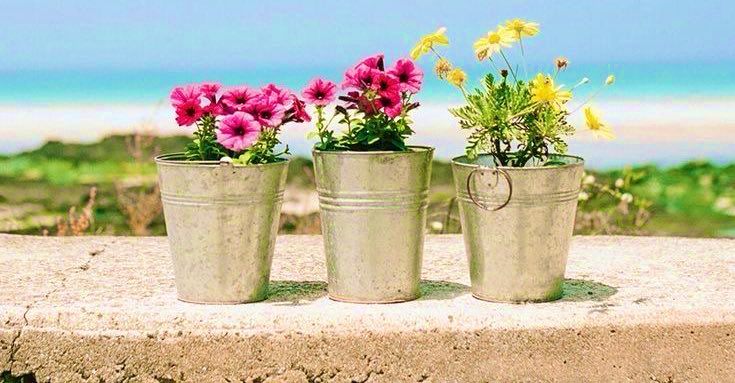 🌙
     “Utangaçlık; insana özgüvensiz oluşundan değil, kişilikli oluşundan gelir…”