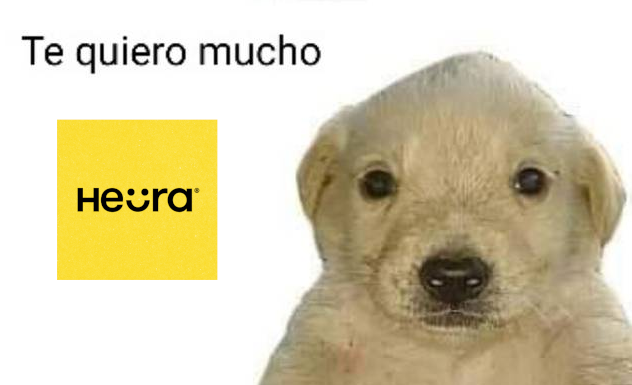 Andy 🌽 tweet media