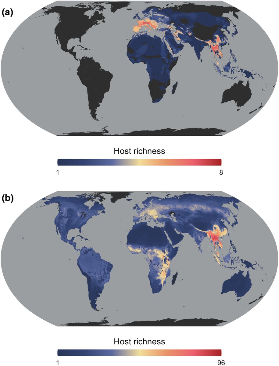 Moreno Di Marco (m-dimarco.bsky.social) (@m_dimarco) on Twitter photo 📢New <a href="/MethodsEcolEvol/">Methods in Ecology and Evolution</a>
A framework to predict zoonotic hosts under data uncertainty: a case study on betacoronaviruses
Tonelli&al
doi.org/10.1111/2041-2…
We predict unknown potential viral hosts to unveil unrecognised hotspots of betacoronaviruses: time to redefine surveillance? 📢New <a href="/MethodsEcolEvol/">Methods in Ecology and Evolution</a>
A framework to predict zoonotic hosts under data uncertainty: a case study on betacoronaviruses
Tonelli&al
doi.org/10.1111/2041-2…
We predict unknown potential viral hosts to unveil unrecognised hotspots of betacoronaviruses: time to redefine surveillance?