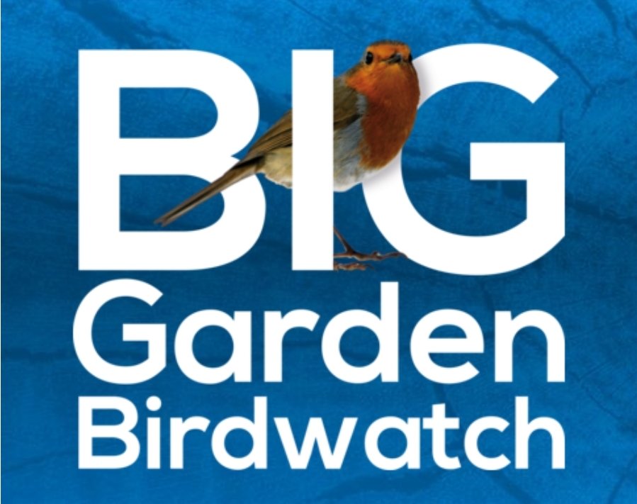 fullerandthomas's tweet photo. This weekend is "Big Garden Birdwatch Weekend" no matter what your green space get involved! #fullerandthomas #loveconstruction #greenspace #greenroofs #gardens #landscaping #groundworks #biggardenbirdwatch #getinvolved #environment https://t.co/NYR9PLm6b3