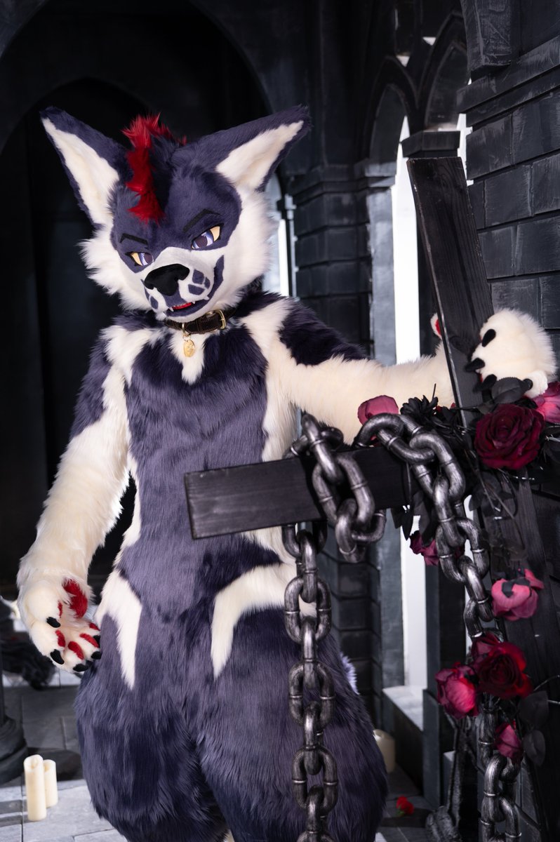 These chains, they'll look nice on me don't you think? ⛓️🐕‍🦺

📸: <a href="/ylngxngln1/">Dragon星麟</a> 
#FursuitFriday