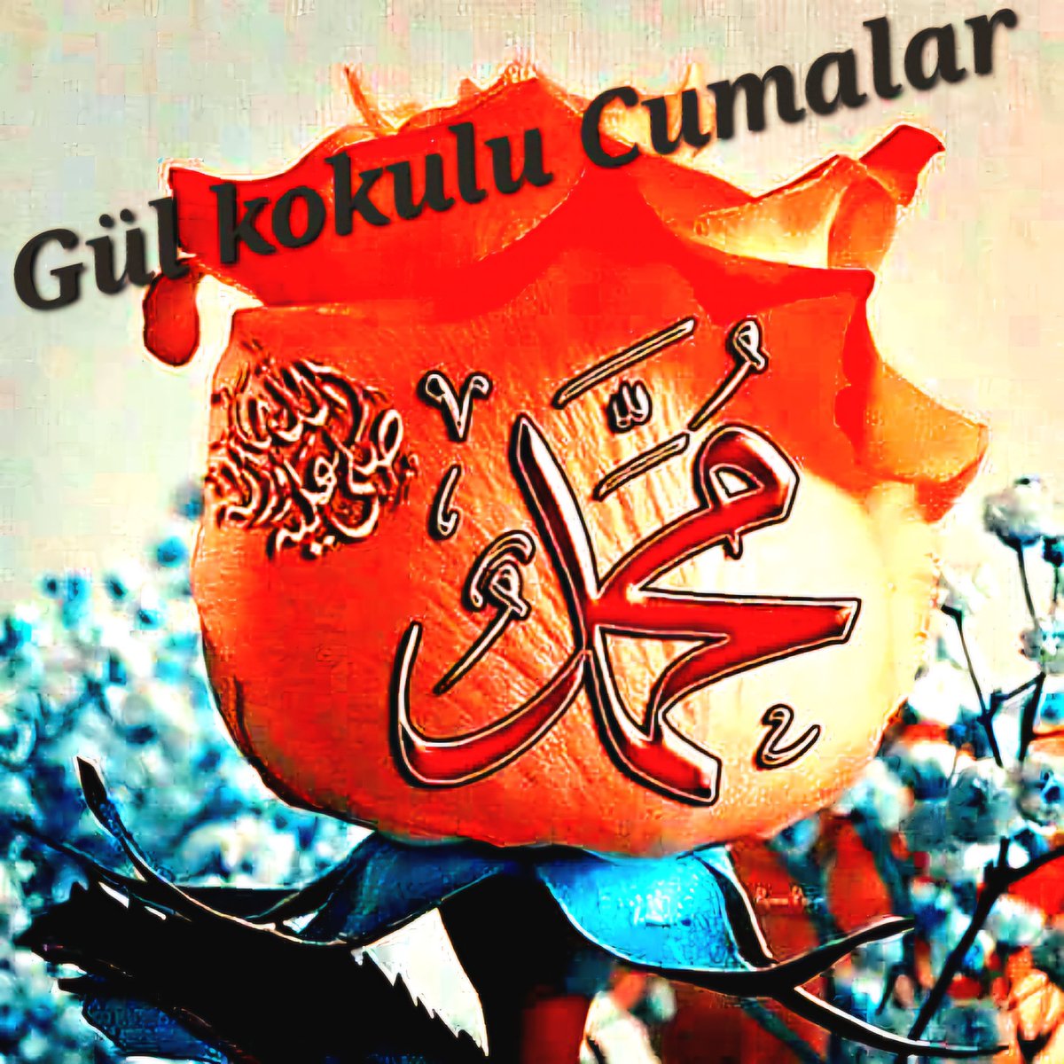 ukba_nour's tweet photo. Es-Selâmû Aleykûm 
Ümmet'i Muhammed'in

Yeni bir Vakte
Yeni bir Güne
Yeni Umutlara

Bismillahirrahmanirrahim

Ya bir Selâm yada et bir dûâ
Ne güzel bir gündür bu Cuma
Birleşiyor eş dost komşu ve
Akraba
Ne güzel bir gündür bu Cuma...

Gördük Ömür oldukça Kısa
Küskünlüğu kırgınlığı at bir
Kenara
Hayr vardır bu günde kullara
Ne güzel bir gündür bu Cuma...

Unutma getir Salavat gül Nebi
Rasulullaha
Ulaşır Medine gülü o Enbiyaya
Bitmez tükenmez bizde ki bu
Sevda
Ne güzel bir gündür bu Cuma...☝🏽✍️🏽

☝🏽Lâ Galiba Îllallah☝🏽

👉🏽Hasbinallah-û ve Ni'mel Vekil 

🌹Allahümme Salli ve Sellim🌹
🌹Alâ Seyyidina Muhammed🌹

🌹Vakti Cumanız
   🌹Mubarek
     🌹Vaktiniz hayr
   🌹Dûâ'larınız kâbûl
🌹Ola inşâ'Allah

Sharmeen Sü'eda Nour