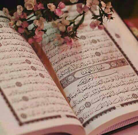 #الكهف كنوزٌ و حسنات 
 قَصصٌ و عِبرات.. 
نورٌ لما لديك من
 ظُلمات يُنير جُمعتك
 ليومِ جُمعةٍ آت.. 
#يوم_الجمعة 
#اللهم_صل_وسلم_على_نبينا_محمد 
#اللهم_بلغنا_رمضان_ونحن_بأحسن_حال
#اللهم_ارحم_موتانا 
#اسطول_زعماء_تويتر