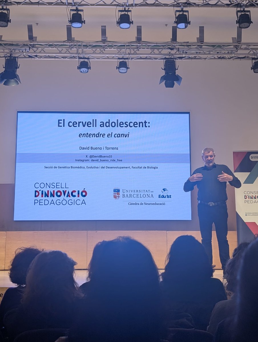 FunbrainBCN tweet media