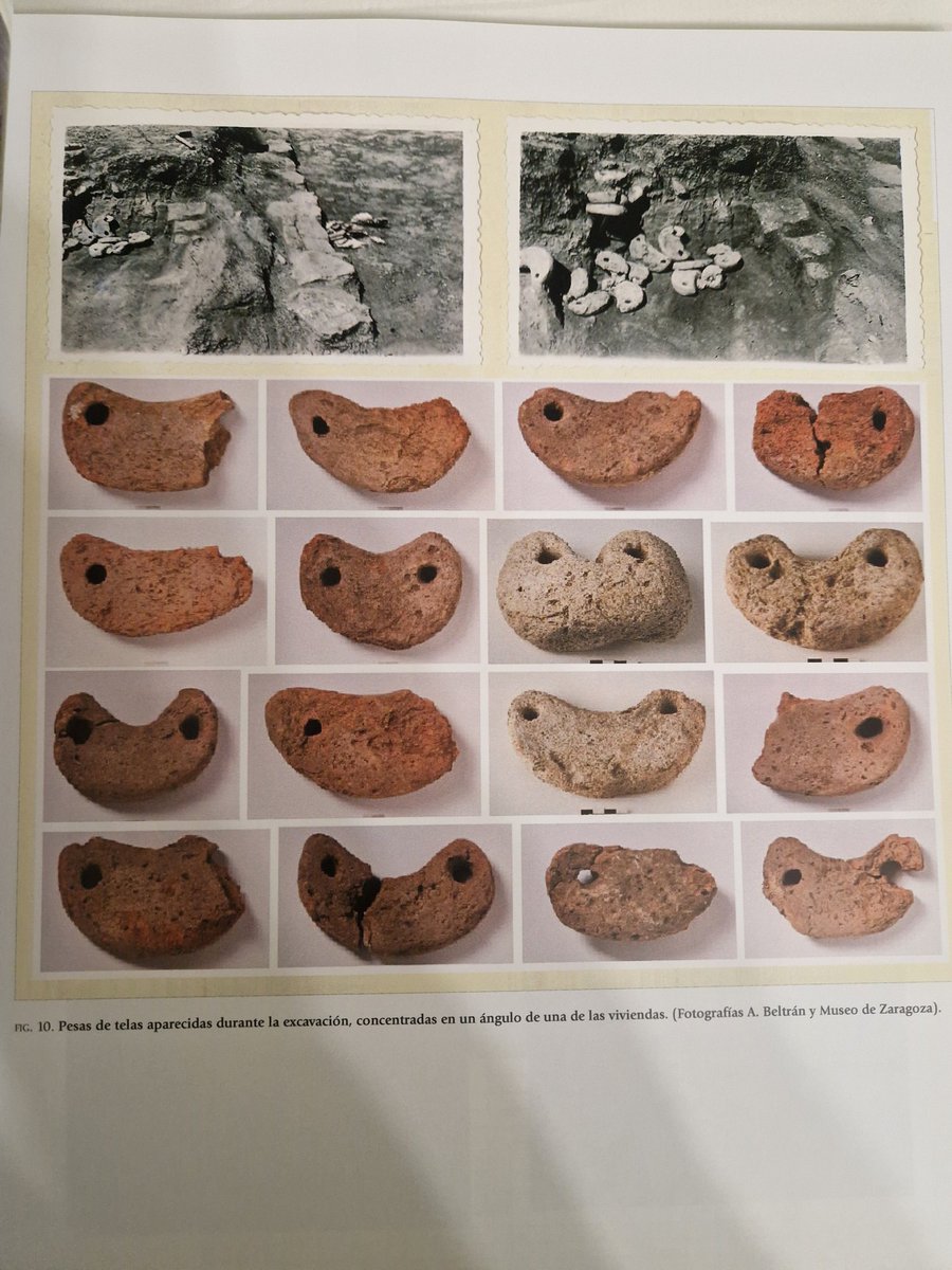 GLORIAPG2022's tweet photo. 📜 Ayer estuvimos en la presentación de la revista #Caesaraugusta 89, que dedica este monográfico a El Cabezo de Monleón. Caspe, Zaragoza. Excavaciones de Antonio Beltrán Martínez (1952-1964).
Los interesantes cuadernos de campo son un legado esencial.
#unizar
#ifc https://t.co/NzK7tyvZTu
