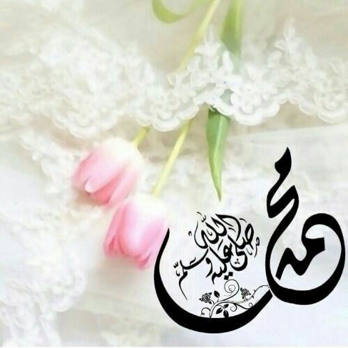 اللهم في ⁦ #يوم_الجمعة
 افرح قلوبنا..
 واغسل أحزاننا.. 
وهمومنا واغفر.. 
ذنوبنا وخطايانا.. 
واشفي مرضانا..
وارحم أمواتنا إنك
 على كل شيء قدير.. 
#صلوا_على_الحبيب_محمد_ﷺ 
#اللهم_احسن_خاتمتنا
#اللهم_وفق_زعيم_الأسطول_وسدد_خطاه
#اسطول_زعماء_تويتر