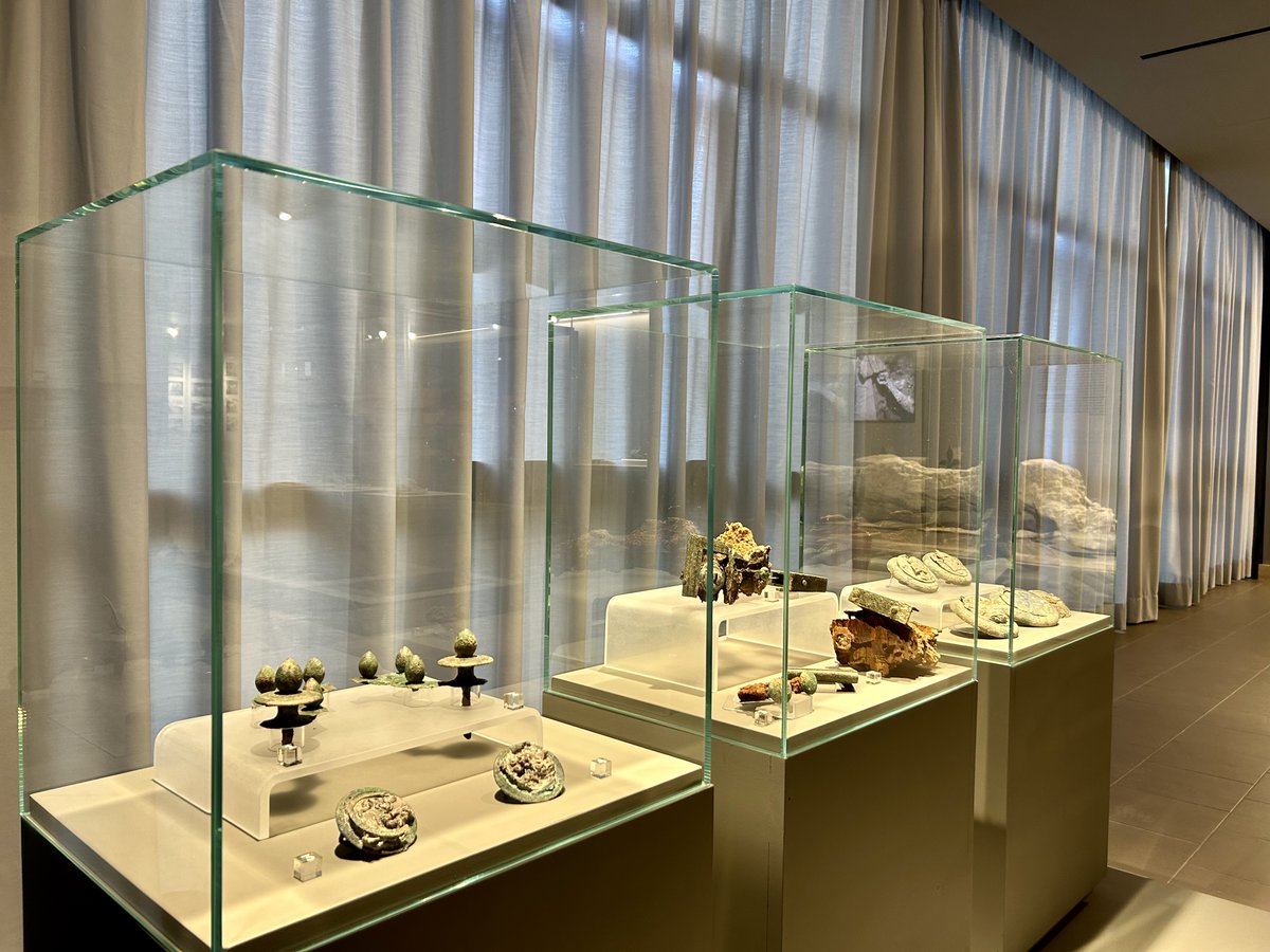 pompeii_sites's tweet photo. Antiquarium di Boscoreale: sala dedicata agli scavi in corso nella villa suburbana di Civita Giuliana, con il carro cerimoniale rinvenutovi nel 2021. https://t.co/2apB8ewtov