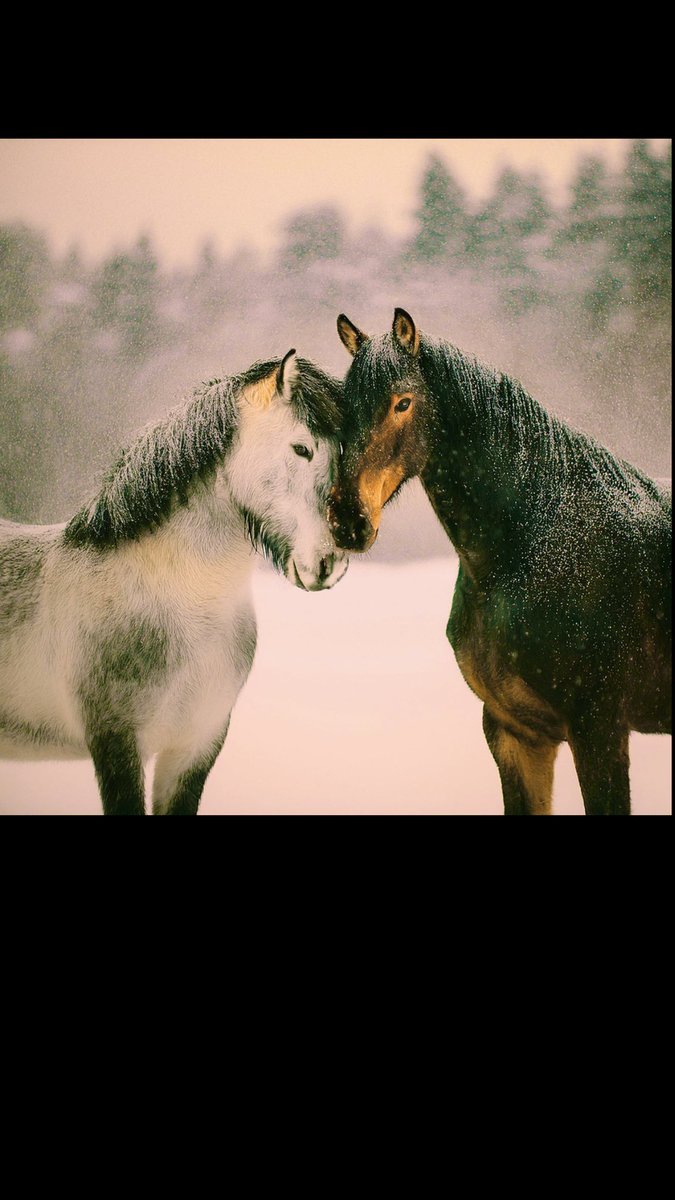 🌙
     “Allah korkusu olan insanlarla karşılaşalım…”