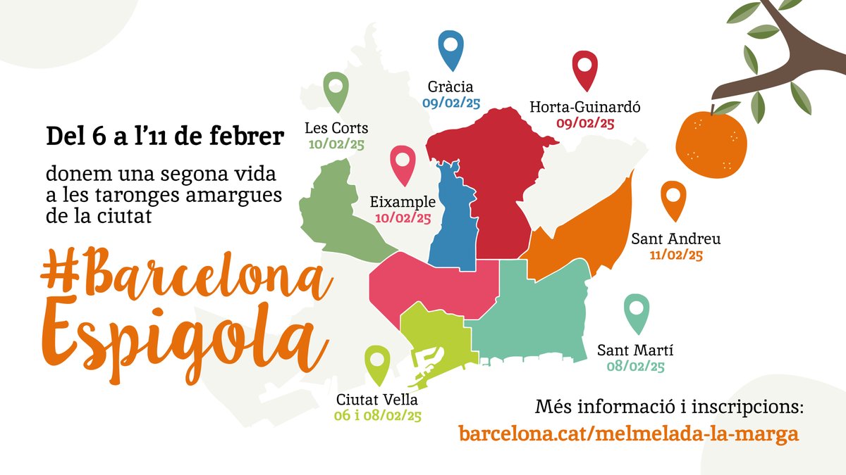 🍊 Inscripcions obertes per al Barcelona Espigola 2025.

🗓️ Del 6 a l’11 de febrer es farà la recollida comunitària de taronges amargues dels arbres de set districtes de la ciutat per fabricar melmelada solidària.

Participa-hi! 
ajuntament.barcelona.cat/espaisverds/ca…
