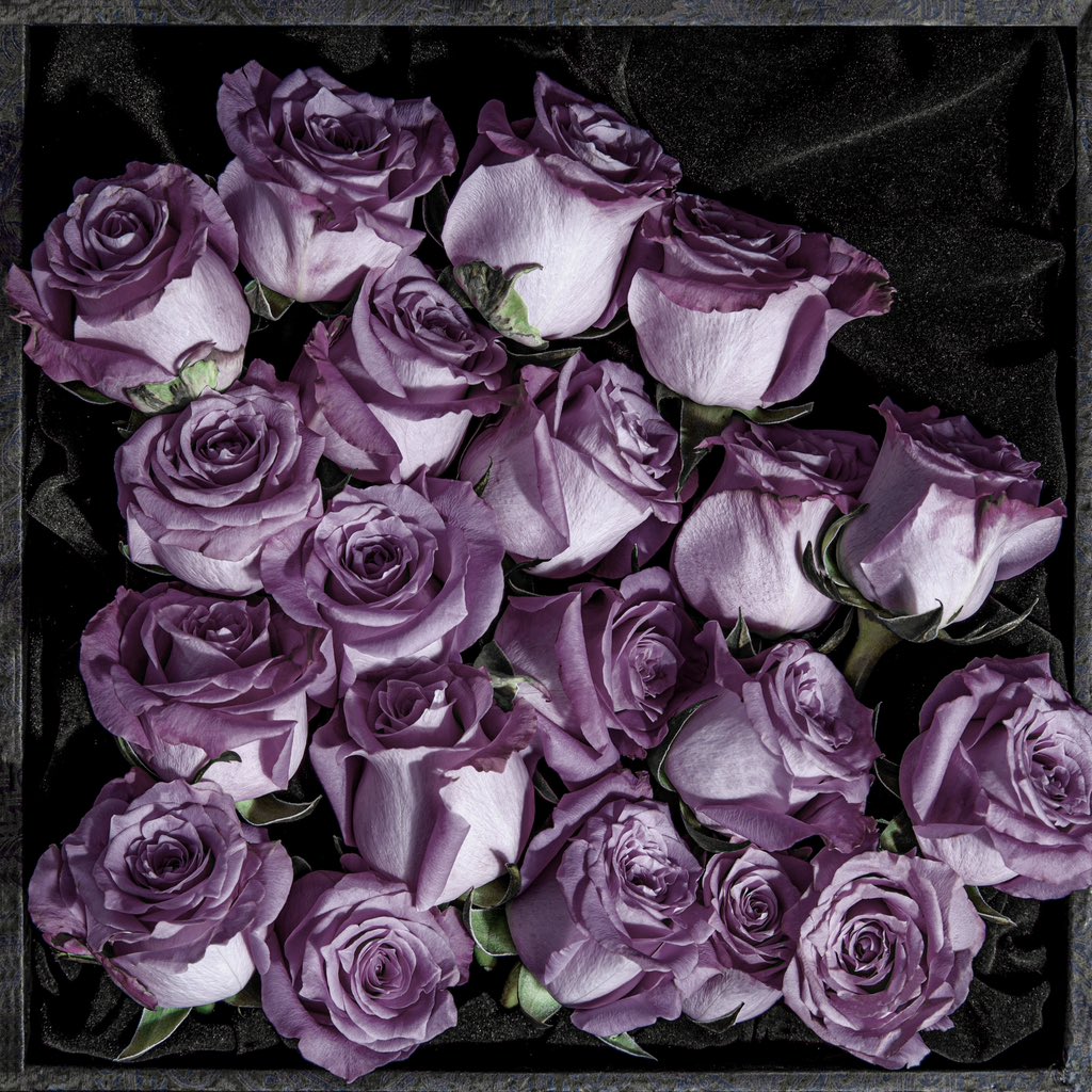 Morning with beatiful flowers

$XREY