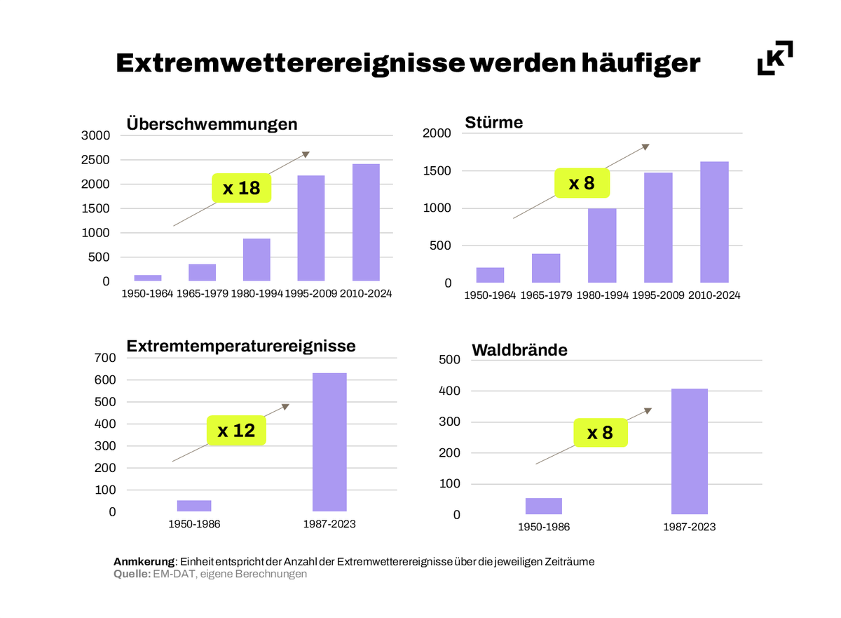 Anna Pixer tweet media