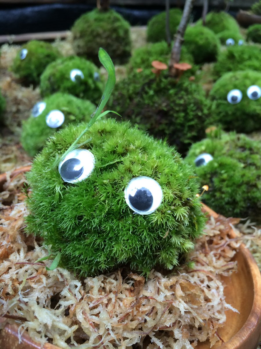 以前の青森旅行