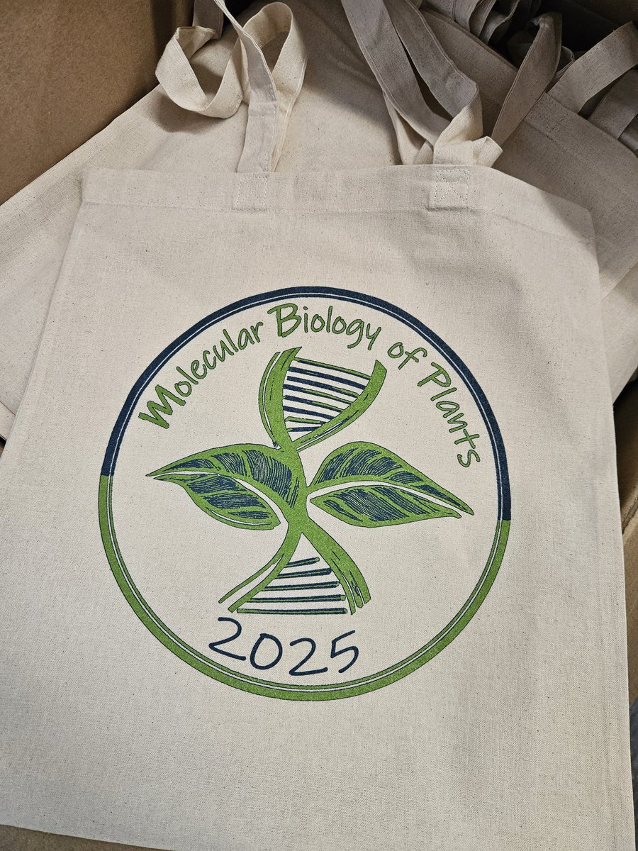 MCBotany's tweet image. Just two more weeks until #MBP2025
pflanzen-molekularbiologie.de/conference-mol…