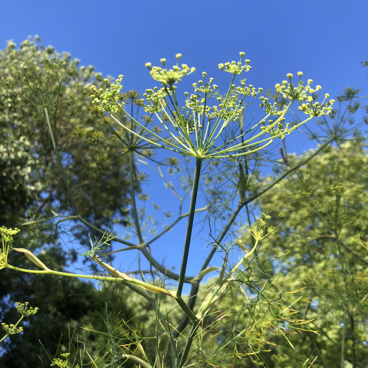 You can now also connect with us on blue sky. Join us!