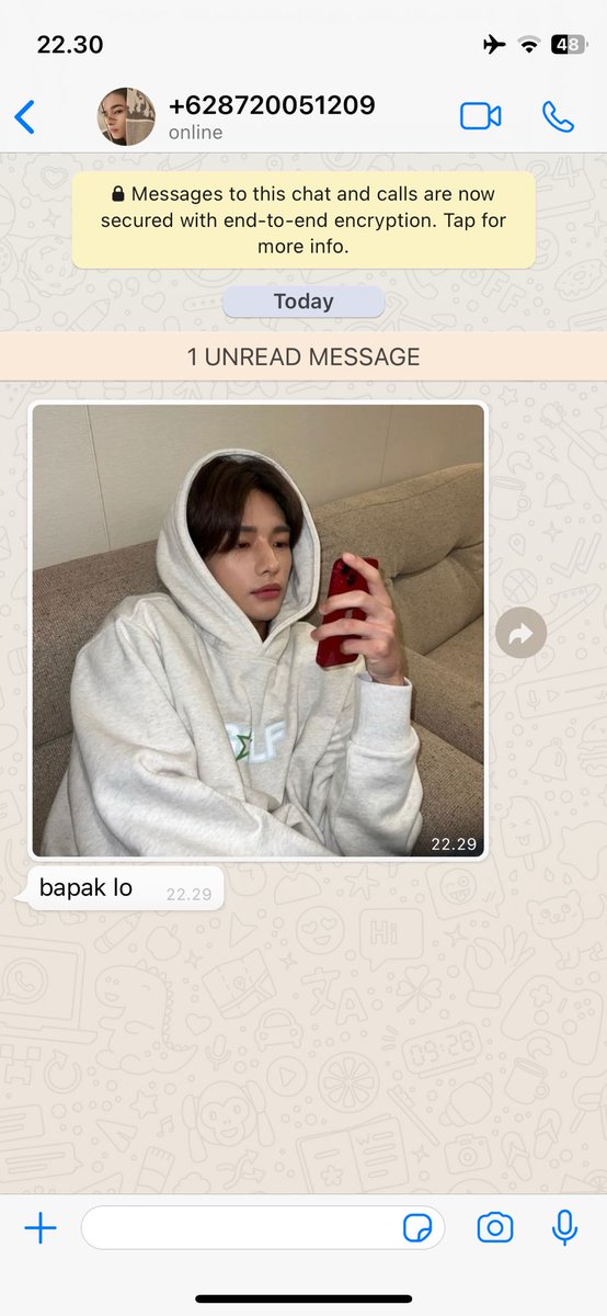 niskalaivy's tweet image. #hyunjeong au ft enha

— fate.