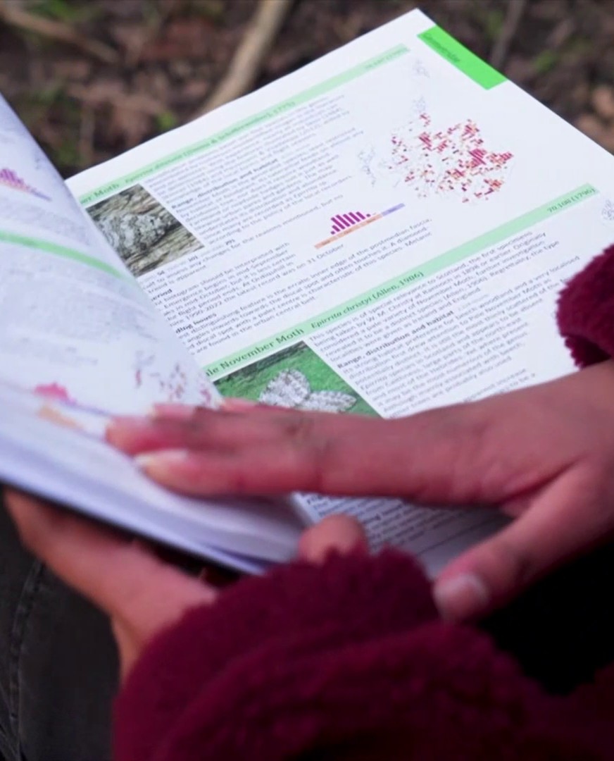 MarkCubitt's tweet image. Great segment from Leanna on moths on WinterWatch on Wednesday, which included a cameo appearance of our book. Buy it now and get inspired for the 2025 mothing season! #mothsmatter