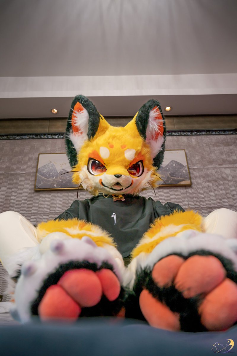 GaoGaofurry's tweet image. 🍑
📷 @宿星stars

#Furry #GaoGao #FursuitFriday