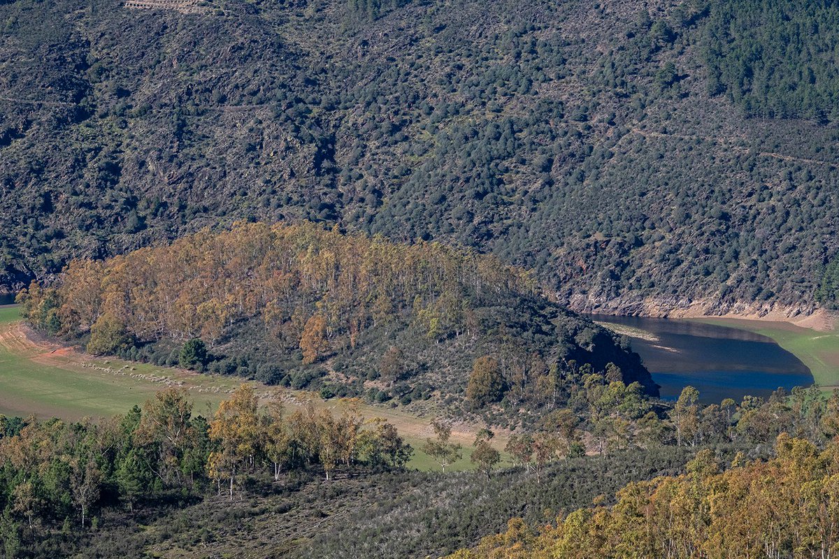 miguefores's tweet photo. Durante la ruta, tendremos espectaculares vistas al Río Alagón y al #Meandro y nos encontraremos #fauna, como ciervos que campan a sus anchas. También veremos los bancales en los que hace años (1965) se cultivaba para subsistencia produciendo grano y buen aceite 3/3 #agriculture https://t.co/Xb3xDOn5MY