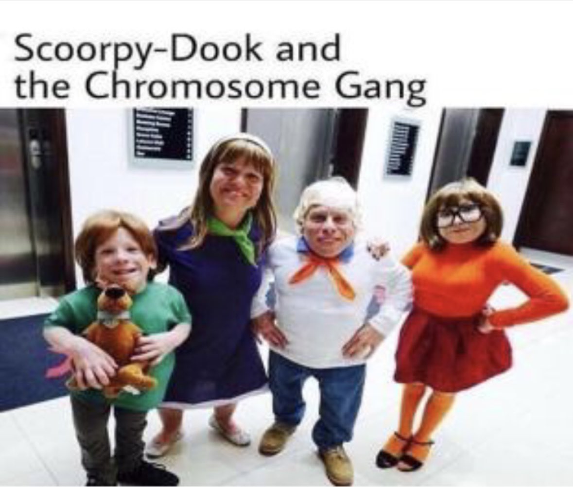 iiNagao's tweet photo. @RigoVNM must be nice. i got scoorpy dook and the chromosome gang on my team every other game https://t.co/HEx27e2La9