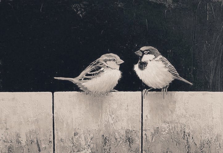 🌙
     “Yakınlığı belirleyen şey zaman ya da imkan değildir;
sadece karakterdir…”
