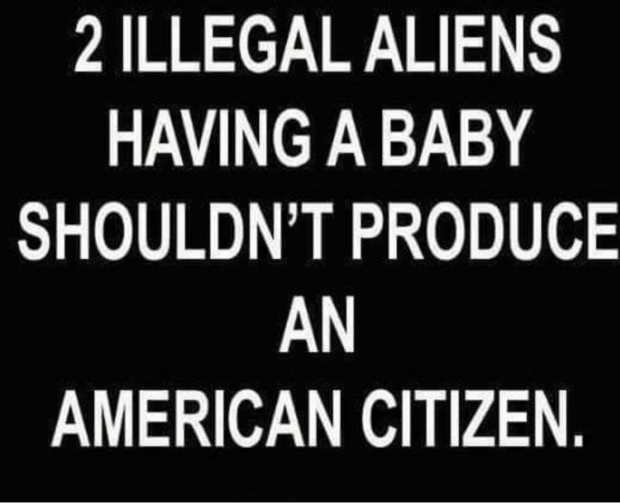 OMatick53's tweet photo. End birthright citizenship. https://t.co/0abTGzARM1
