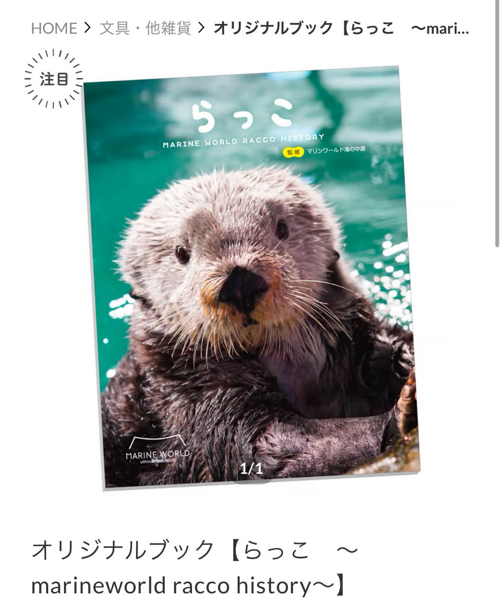 マリンワールドのリロくんやラッコの本再入荷してる🦦📕欲しい方に届き
