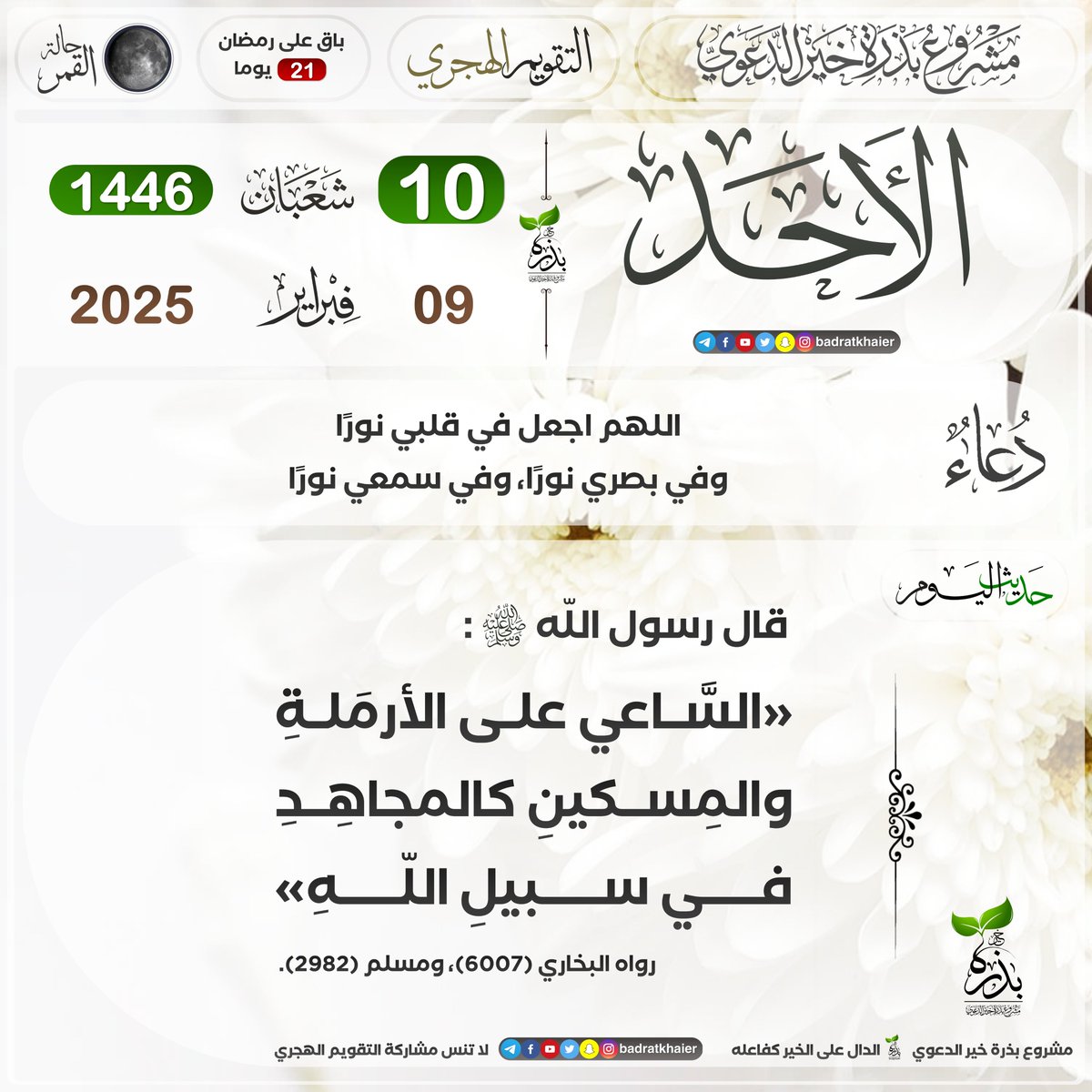 بذرة خير tweet media