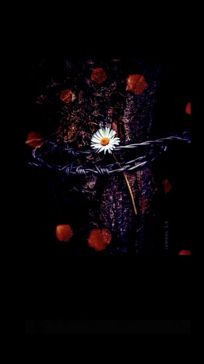 🌙
     “Hased eden dâimâ hastadır, cimri insan, dâimâ fakîrdir…”