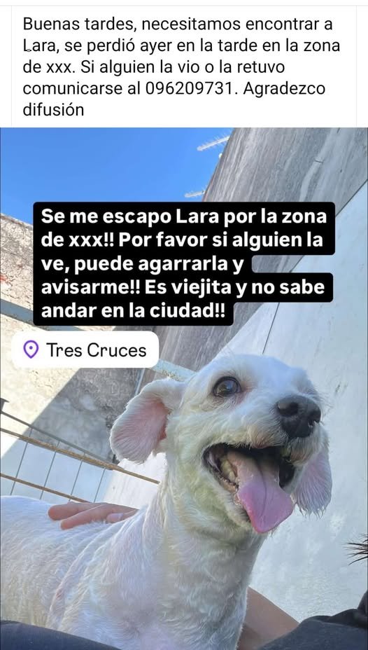 Pobrecita