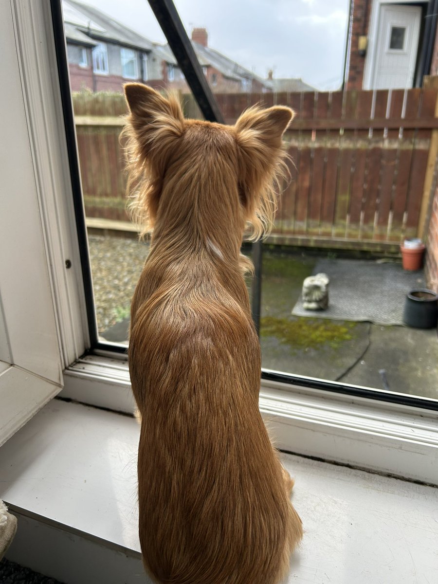 Leiane.eth  ☮️ tweet media