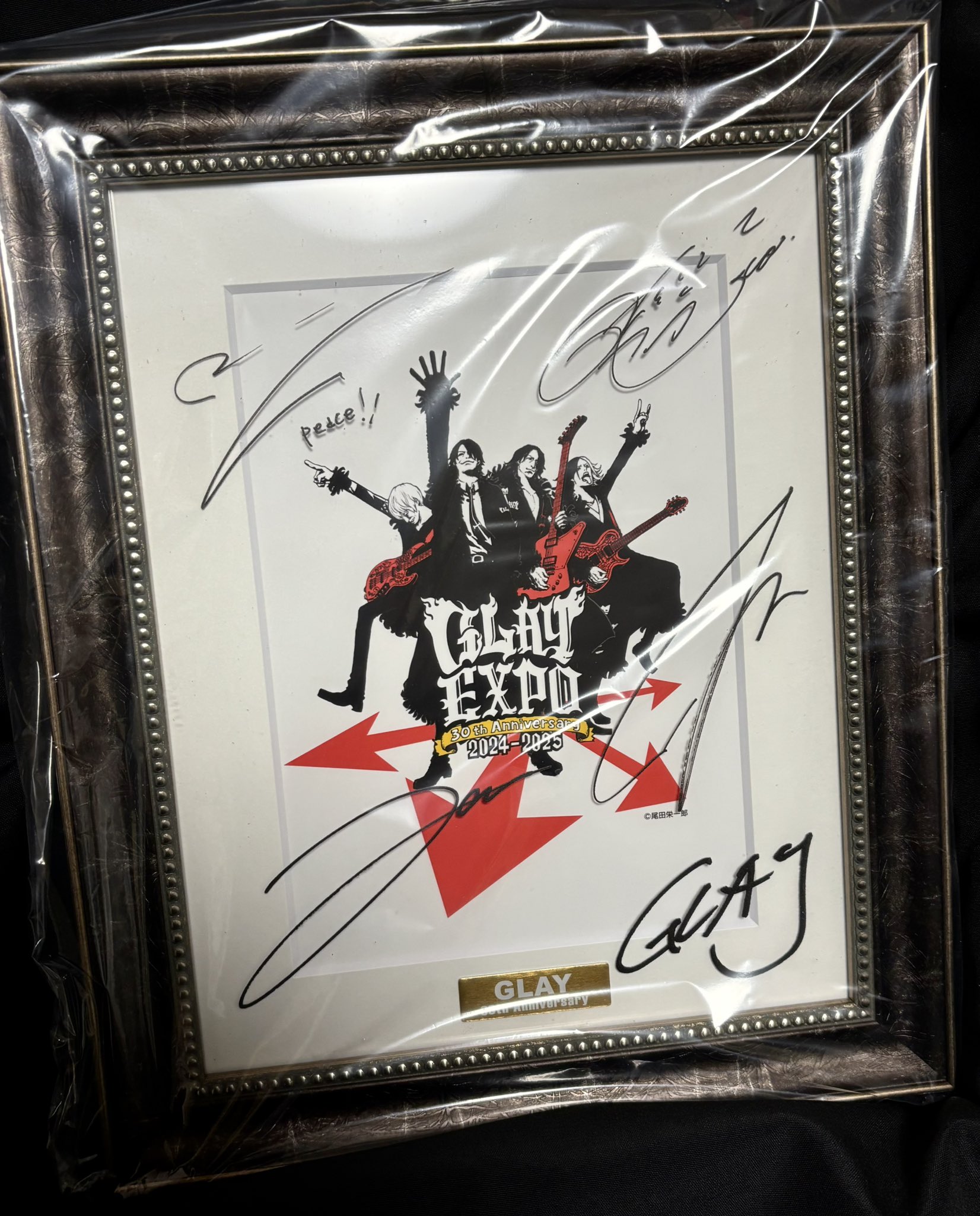 GLAY 30周年記念 イラスト キャラファイン アート 30th 尾田栄一郎