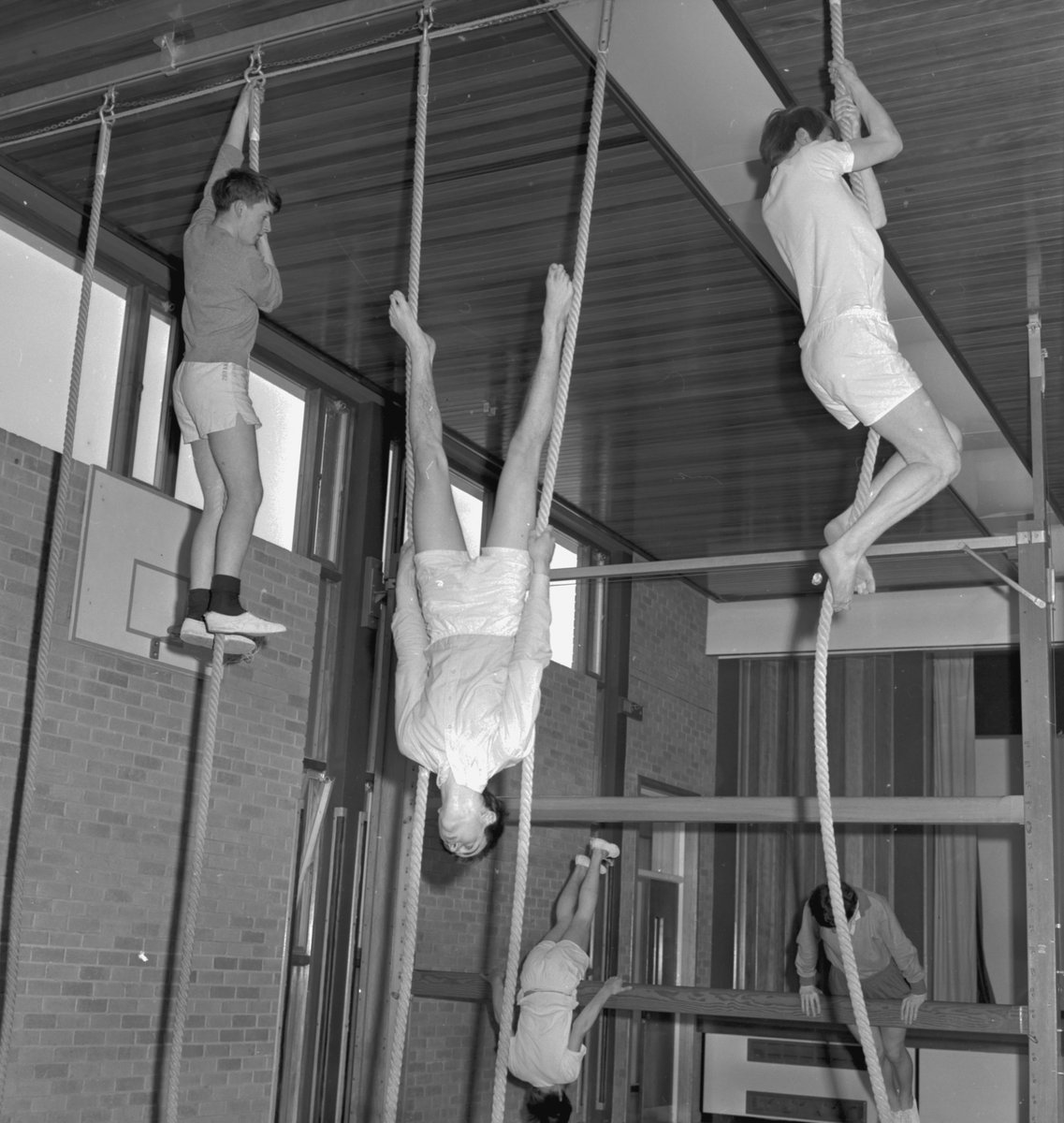 For the #InternationalDayofEducation here are some classes at @ShannonComp01 in 1969. We have a cookery class, a violin lesson, a student at a weaving loom and a PE class. This collection is being catalogued as part of the <a href="/wellcometrust/">Wellcome</a> funded New Jerusalems project!