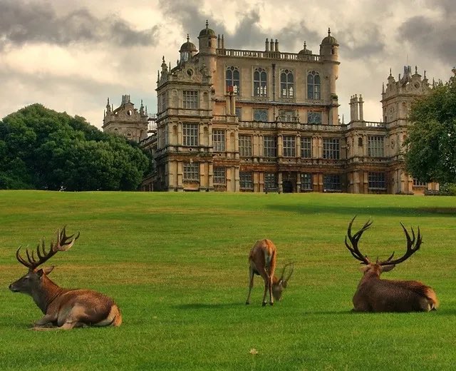 Khan4Wollaton's tweet photo. We are having a delayed opening today at Wollaton Hall and Deer Park due to the strong winds caused by Storm Eowyn. https://t.co/7Ivy0xEsWU