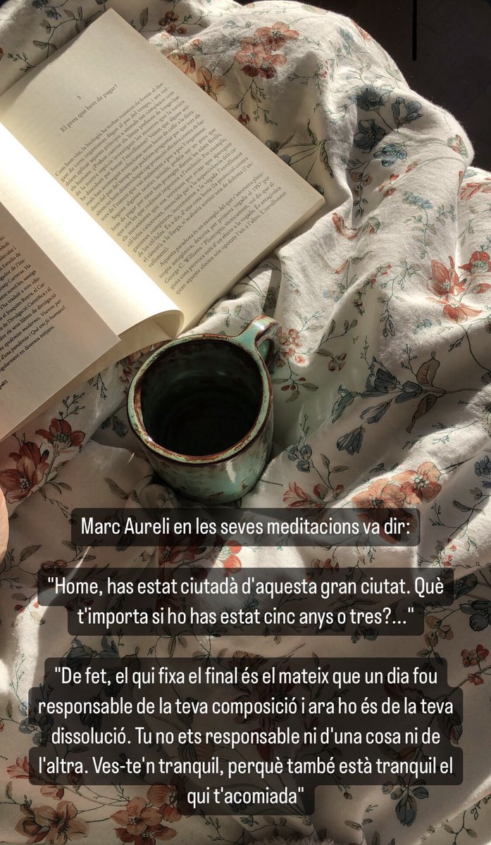 laia (@laaions) on Twitter photo 