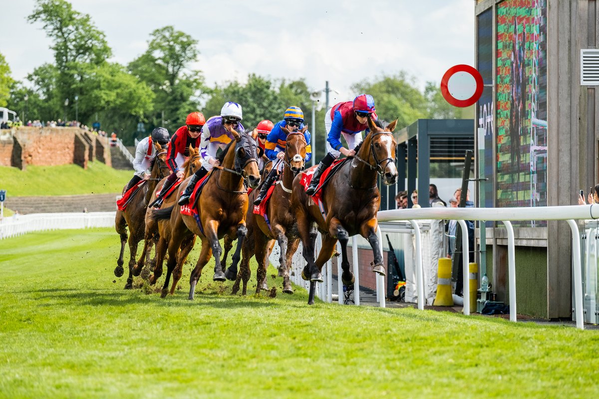 British racecourses unite to support former racehorses.

All 59 racecourses have agreed to increase their contributions to aftercare for former racehorses through RoR. From January 2025, each racecourse will contribute £270 per fixture – a 170% increase!

This funding boost will