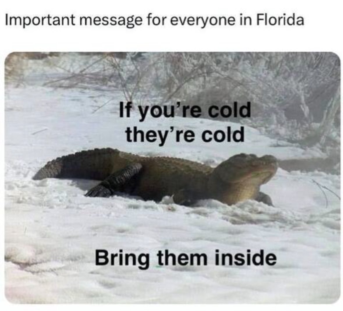 janesmx's tweet photo. #Florida https://t.co/A6sq5HQMHA