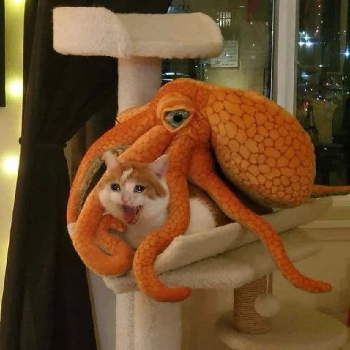 There is no meme, 

I’m straight up not having a good time. 

- $Crying Cat 

Ca:
2ZHYWGndLx76H7NCN4ieMRHSRAAiiWEtJFpHmmXYmE6Z