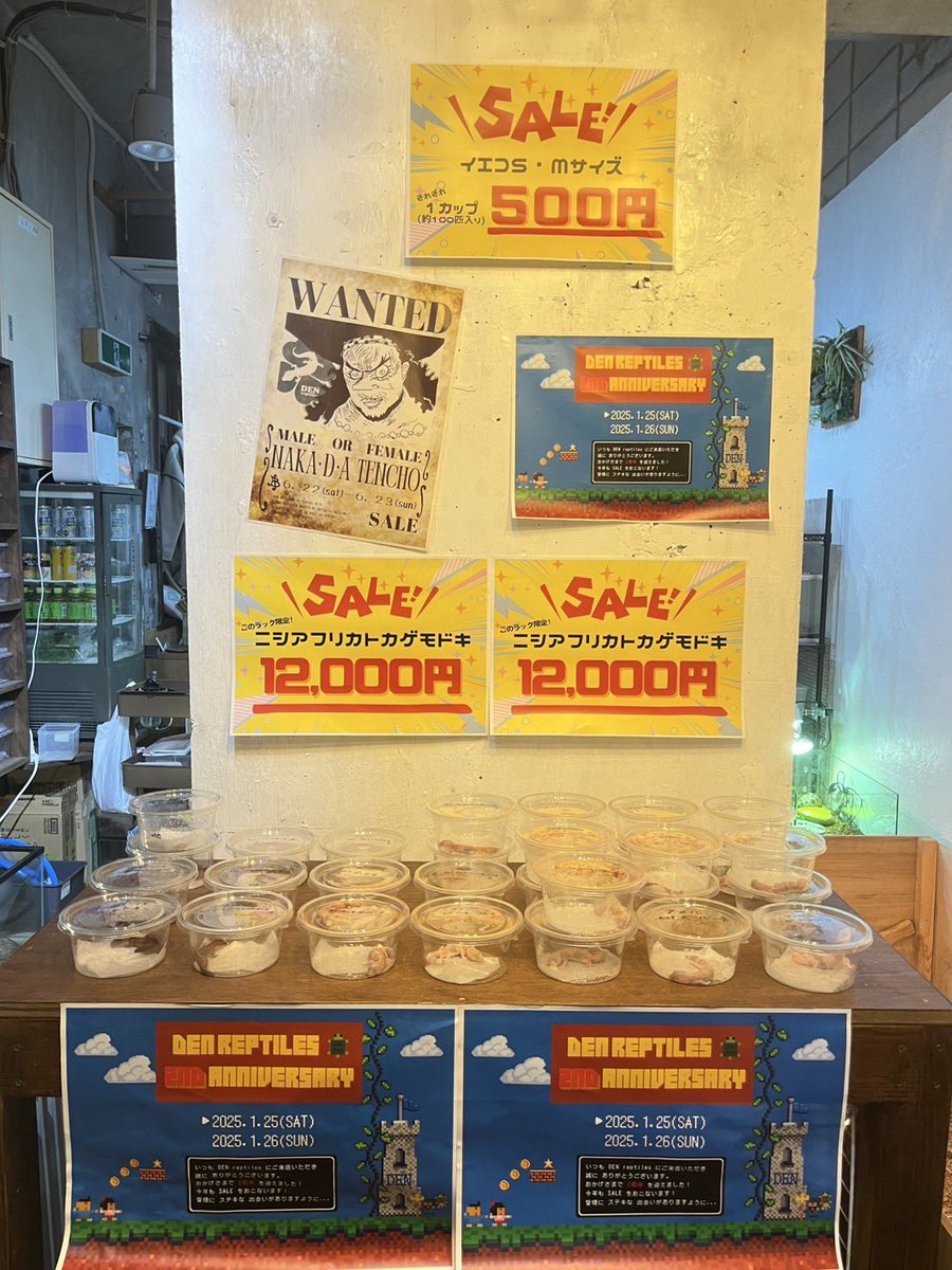明日から2日間みなさんのご来店お待ちしております🤩🎉
今回亀も大量に来ております😊✨
ニシアフ25000円コーナーも作りました🎊
そして餌も冷凍コオロギ半額、コオロギ100匹1カップ500円と激安です😆✨ご来店お待ちしております🙇🏽‍♂️🎊
拡散希望です🙇🏽‍♂️笑