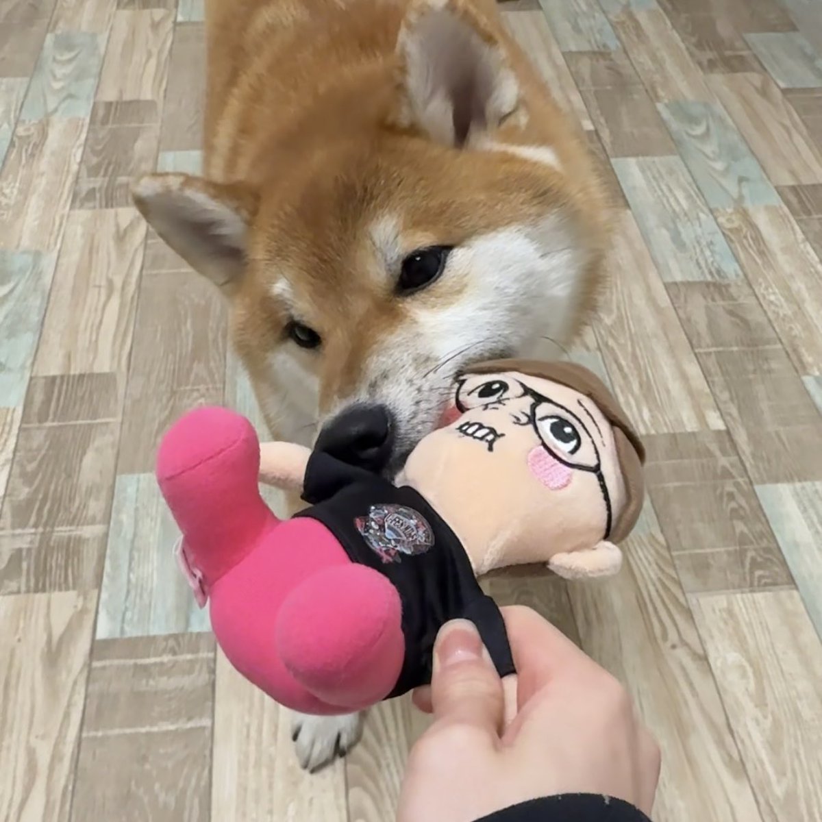 wafukoma's tweet photo. 初めまして。 https://t.co/NR9y0maSvq