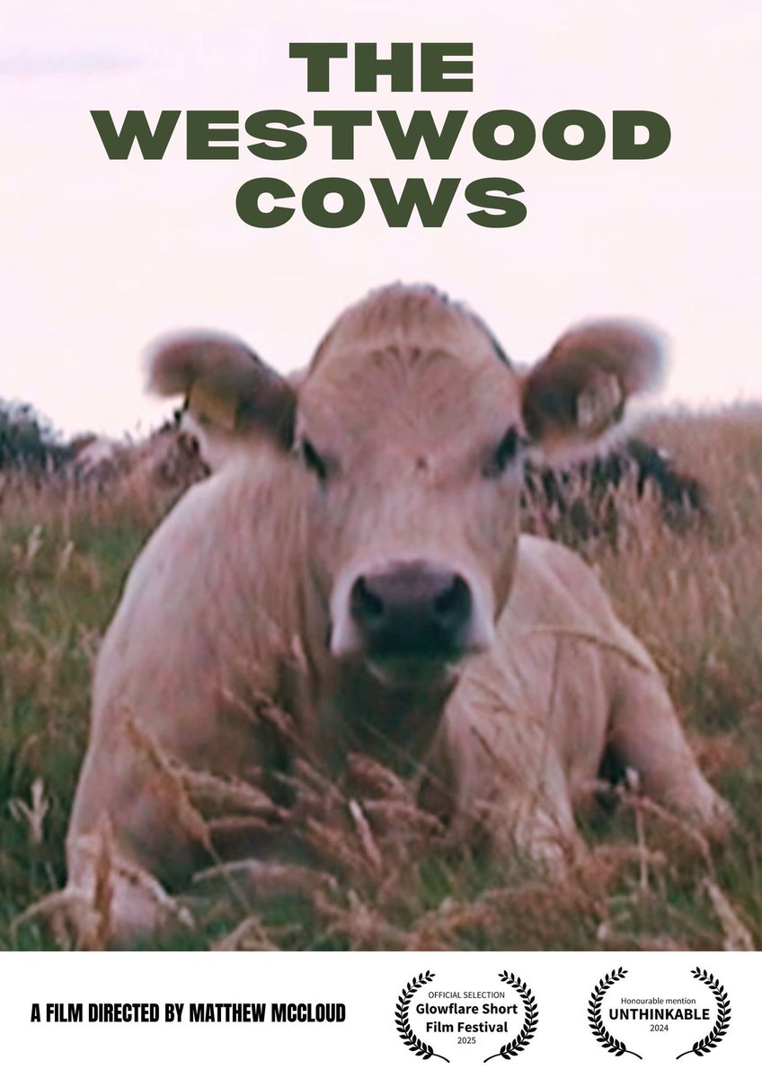 Matthew McCloud tweet media