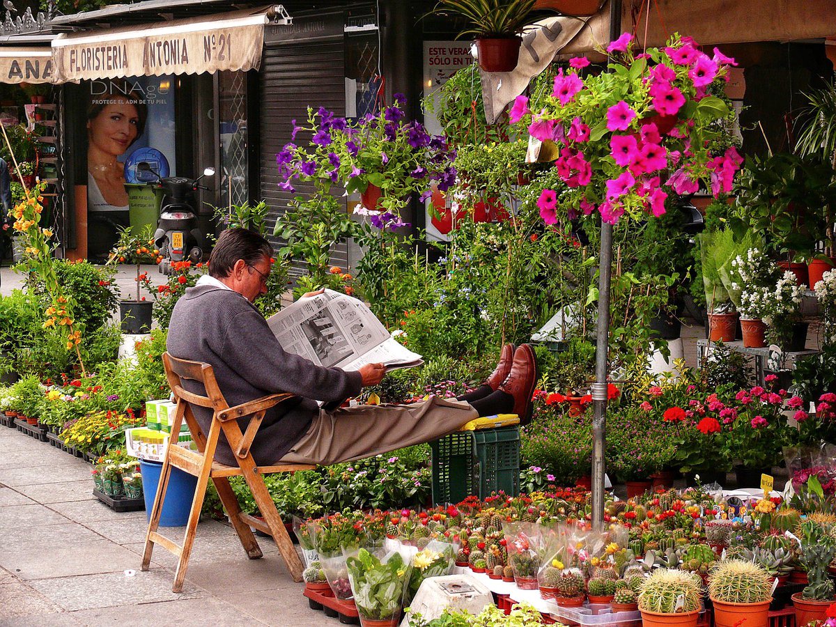 granadaoldpics1's tweet photo. Esta fotografía no tiene ni 20 años pero ya se puede considerar “histórica”. Vemos un señor leyendo el @ideal_granada en plaza Bib-Rambla rodeado de las plantas y flores que allí se vendían antes de convertirse en la gastroplazamayor de #Granada para turistas. Claro ejemplo de la gentrificación galopante que sufre nuestra ciudad. #FITUR2025