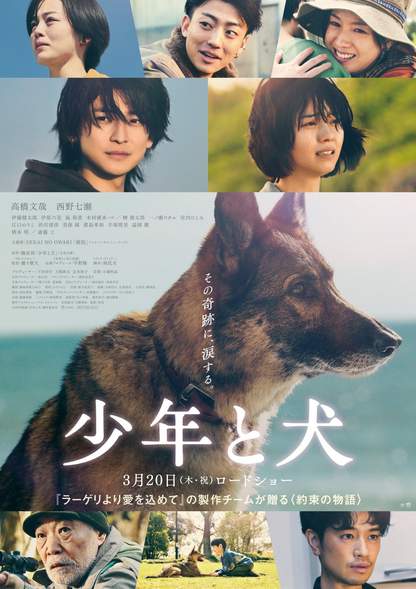 tjoy_hghr's tweet photo. 🐕その犬は5年の歳月をかけ、東北から九州まで3000キロの旅をした🗾ただ…、たった1人の大切な人に会うために🥺

🎬#高橋文哉 ＆ #西野七瀬 W主演「#ラーゲリより愛を込めて」の製作スタッフが感動のベストセラー小説を映画化🎞️

📽️映画『#少年と犬』#��・ジョイ東広島 で3/20(木・祝)公開✨https://t.co/WyHNKT7Xrc