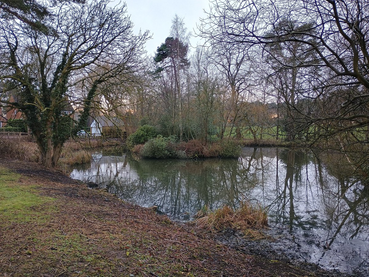TCV Hull and Humber (@tcvhumber) on Twitter photo Mucky work at <a href="/BroughGolfClub/">Brough Golf Club</a> doing the second session on getting the pond back to its full glory! We may have taken vegetation out but we have improved the habitat overall. Thank you to staff from <a href="/RSKBiocensus/">RSK Biocensus</a> and <a href="/TCVtweets/">The Conservation Volunteers (TCV)</a> #volunteers. #joininfeelgood Mucky work at <a href="/BroughGolfClub/">Brough Golf Club</a> doing the second session on getting the pond back to its full glory! We may have taken vegetation out but we have improved the habitat overall. Thank you to staff from <a href="/RSKBiocensus/">RSK Biocensus</a> and <a href="/TCVtweets/">The Conservation Volunteers (TCV)</a> #volunteers. #joininfeelgood