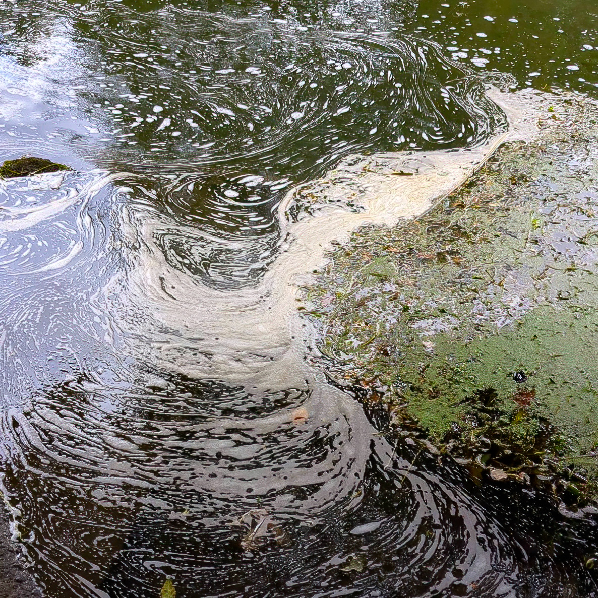 💰 Polluters must pay to clean up our waterways.

Next Tuesday, the Water (Special Measures) Bill reaches a critical stage in the House of Commons.

We’re calling on the government NOT to scrap the #WaterRestorationFund, which ensures Water Company fines fund river restoration.