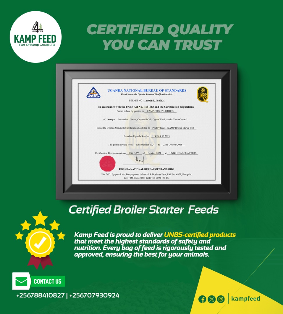 Kampfeed's tweet photo. Boost your poultry production with Kamp Feed's UNBS-certified broiler starter feeds. Designed for efficiency, they ensure rapid growth, improved health, and superior nutrition for your birds. Quality you can trust!
#CertifiedFeeds #PoultryEfficiency #KampFeed https://t.co/86syGvgB7Y