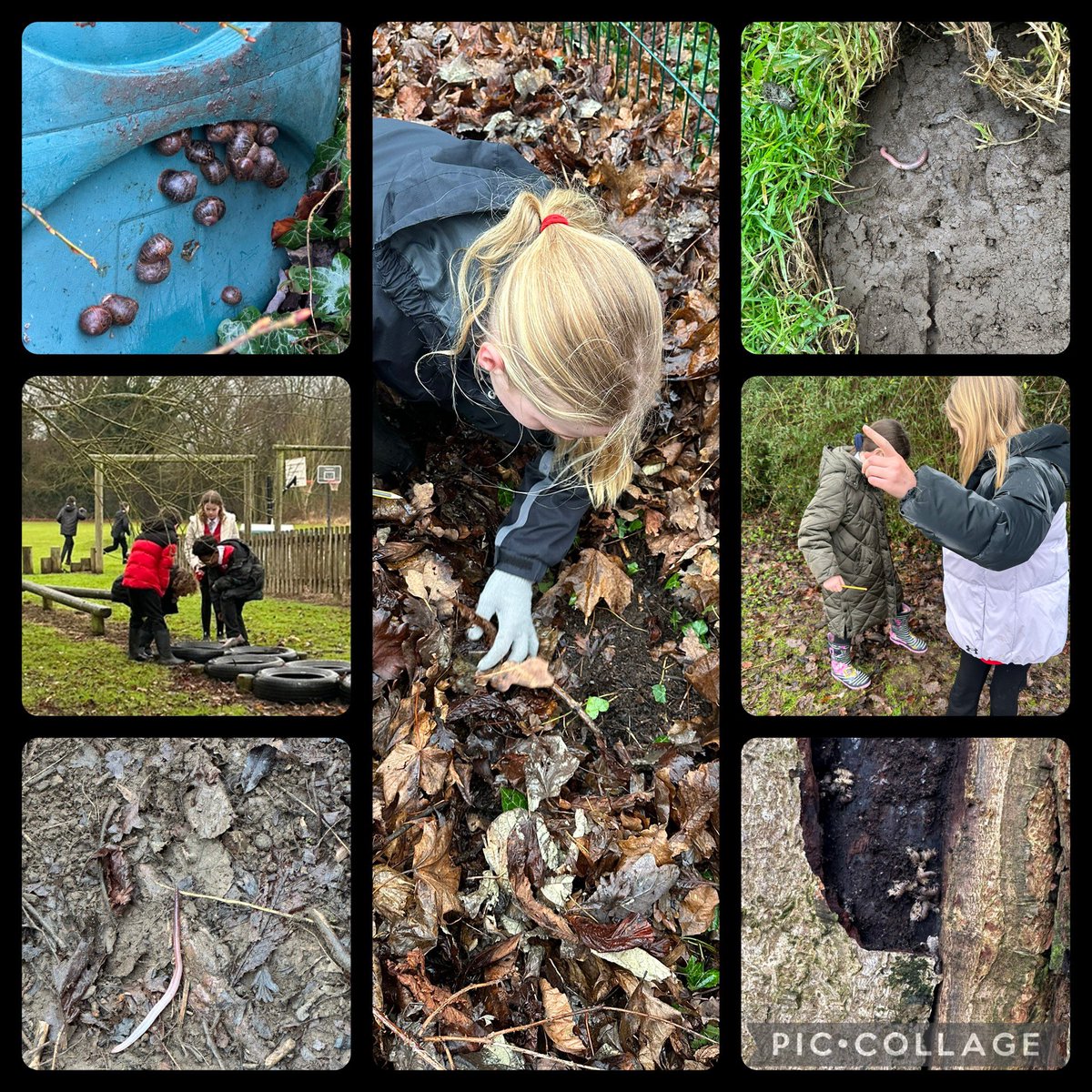 CopleyJrY5_6's tweet photo. In science, we have been focusing on classification. Here we are trying to spot different types of invertebrates around our school grounds! 🐌 #CopleyScience https://t.co/VUfhojchq9