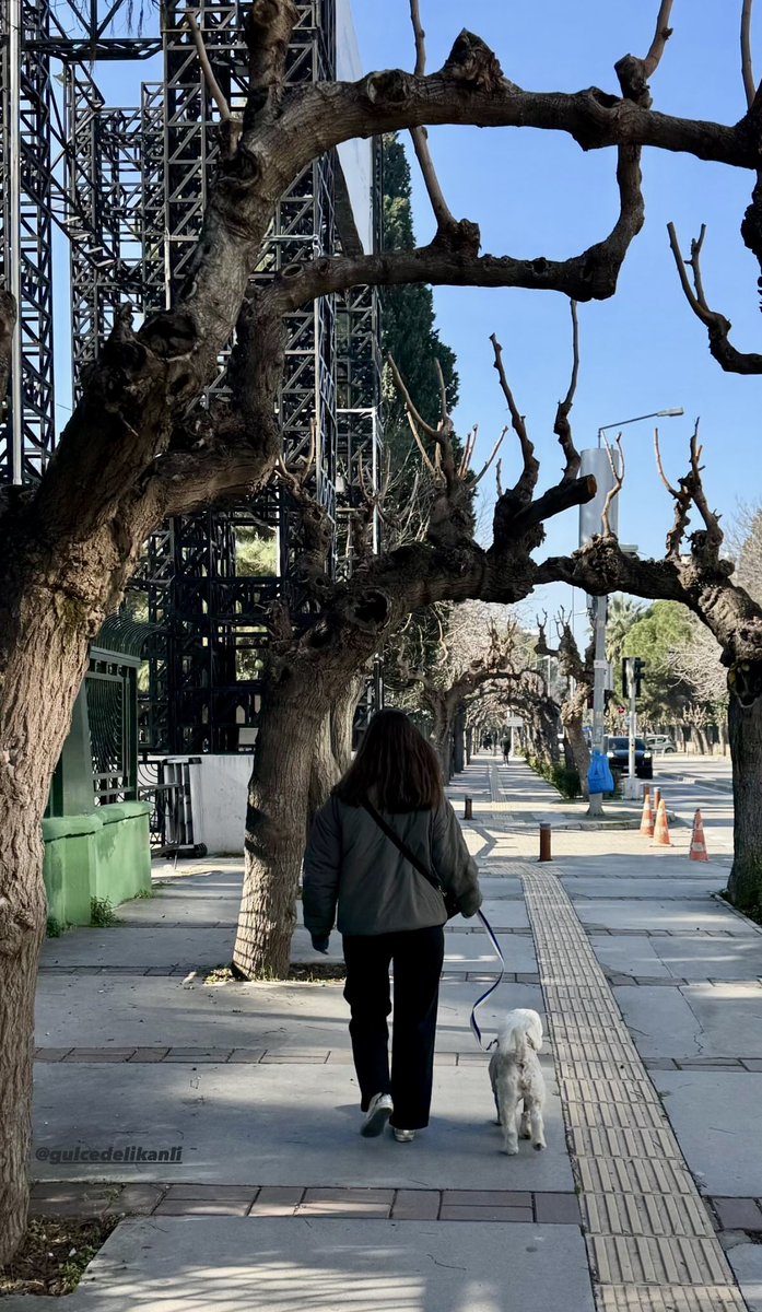 Good Morning 🍀✨ 
Happy Friday ♥️ 🐕 

#NFTCommunity #NFTartist #nftcollector #AIart #aiartcommunity #AIArtistCommunity #AI #goodmorning #nftart