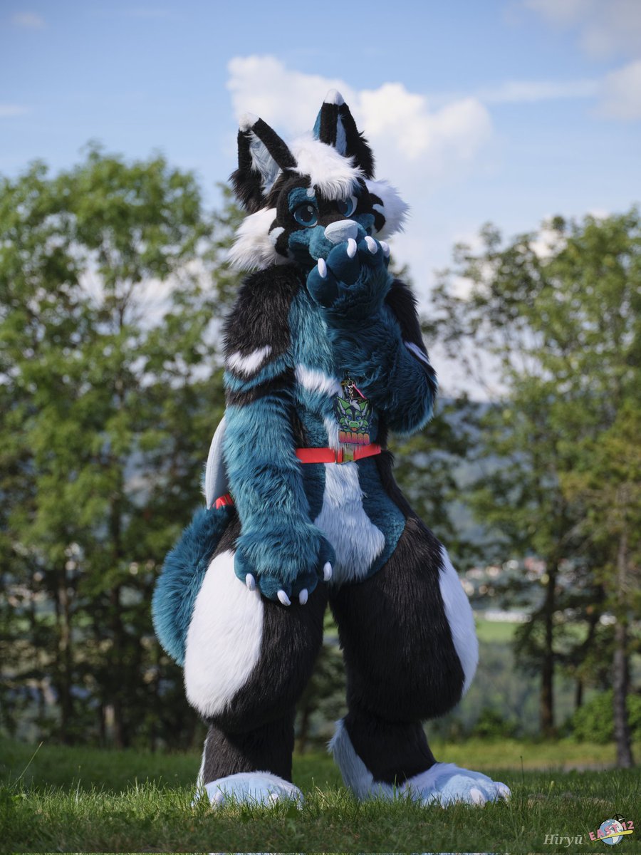 Just a wild wagon staring at a cutie 👀

#FursuitFriday
📷 <a href="/HiryuTheDragon/">Hiryū</a>